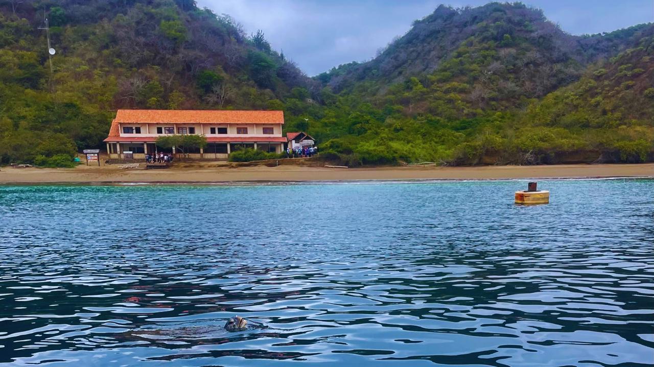Tour Isla de la plata + Observación de ballenas + Ayampe + Olón